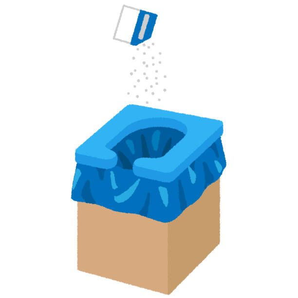 Best Sanitation services for porta potties  in Whitmire, SC